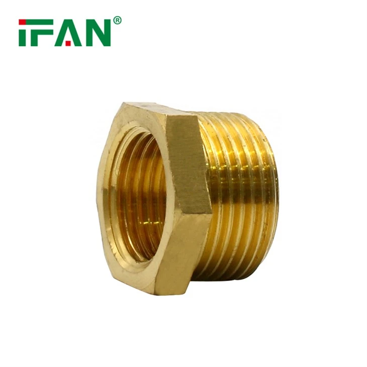 Bush Brass Fitting